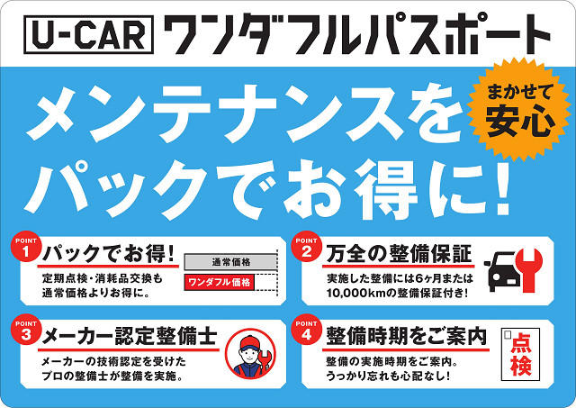 ワンダフルパスポートＡ
