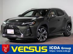 ＵＸ ＵＸ２００ｖｅｒ．Ｌ　Ｌｅｘｕｓ　ＳａｆｅｔｙＳｙｓｔｅｍ＋